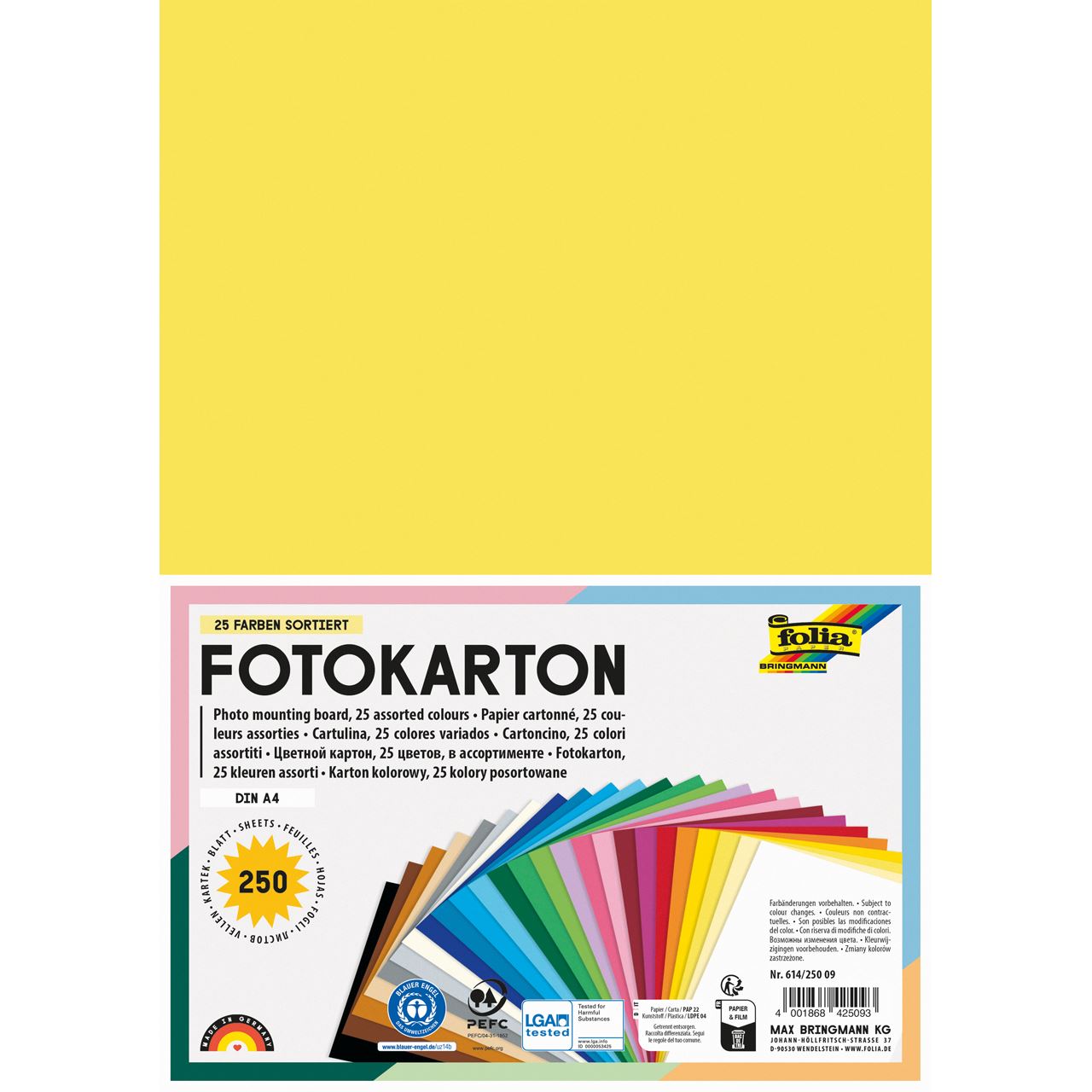 folia Fotokarton farbsortiert 300 g/qm 250 Blatt