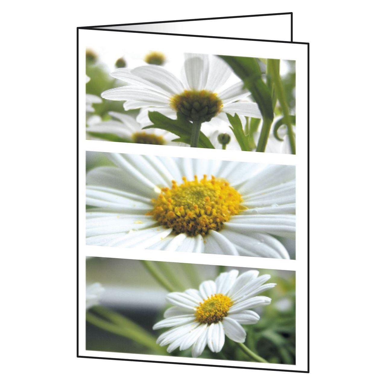 SIGEL 25 Grußkarten Romance DIN A6