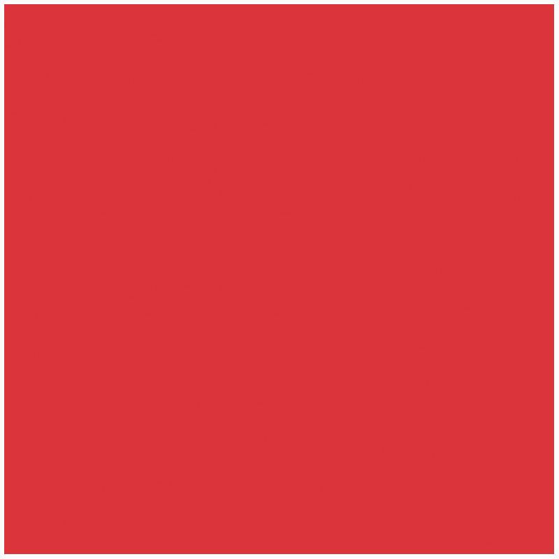 folia Fotokarton rot 300 g/qm 50 St. 614/50 19