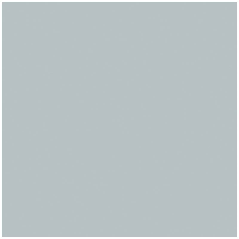folia Fotokarton silber 300 g/qm 50 Blatt