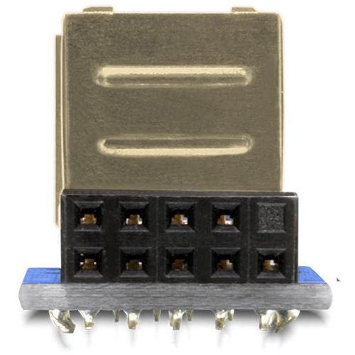 Delock 9pol USB 2.0 Adapter für 2x USB 2.0 Buchse (41825 